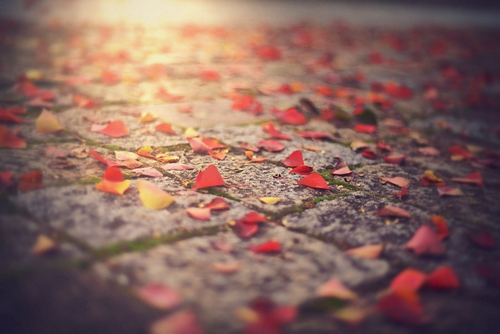 海南乐东九所开锁打什么电话(海南乐东九所新楼盘) 海南乐东九所开锁打什么电话(海南乐东九所新楼盘)