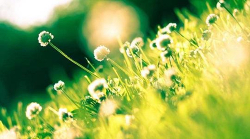 海南琼中开锁电话24小时快速上门开锁