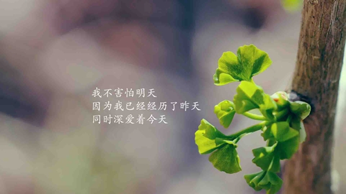 三亚海棠湾开锁公司电话