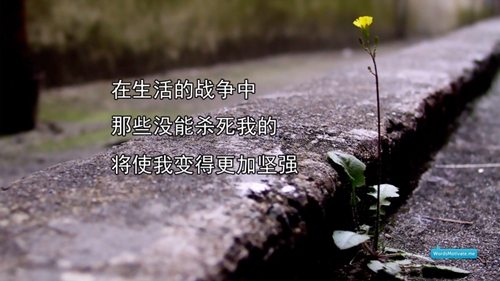 琼海开锁公司开锁电话