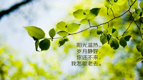 陵水土福湾附近开锁公司电话（陵水土福湾项目2021）