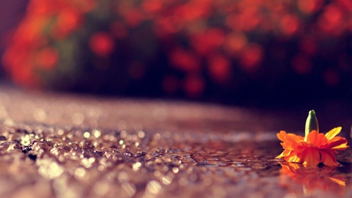 海南三亚天涯区开锁一次大概多少钱（三亚天涯区开锁公司）