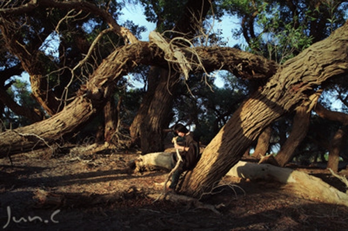 文昌高隆湾酒店