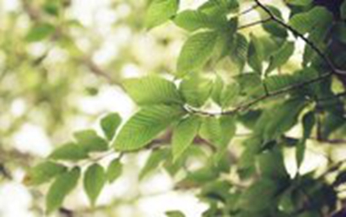 海南乐东附近开锁师傅电话号码（海南乐东附近开锁师傅电话号码查询）