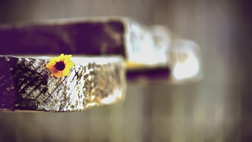 琼海嘉积镇开锁价钱